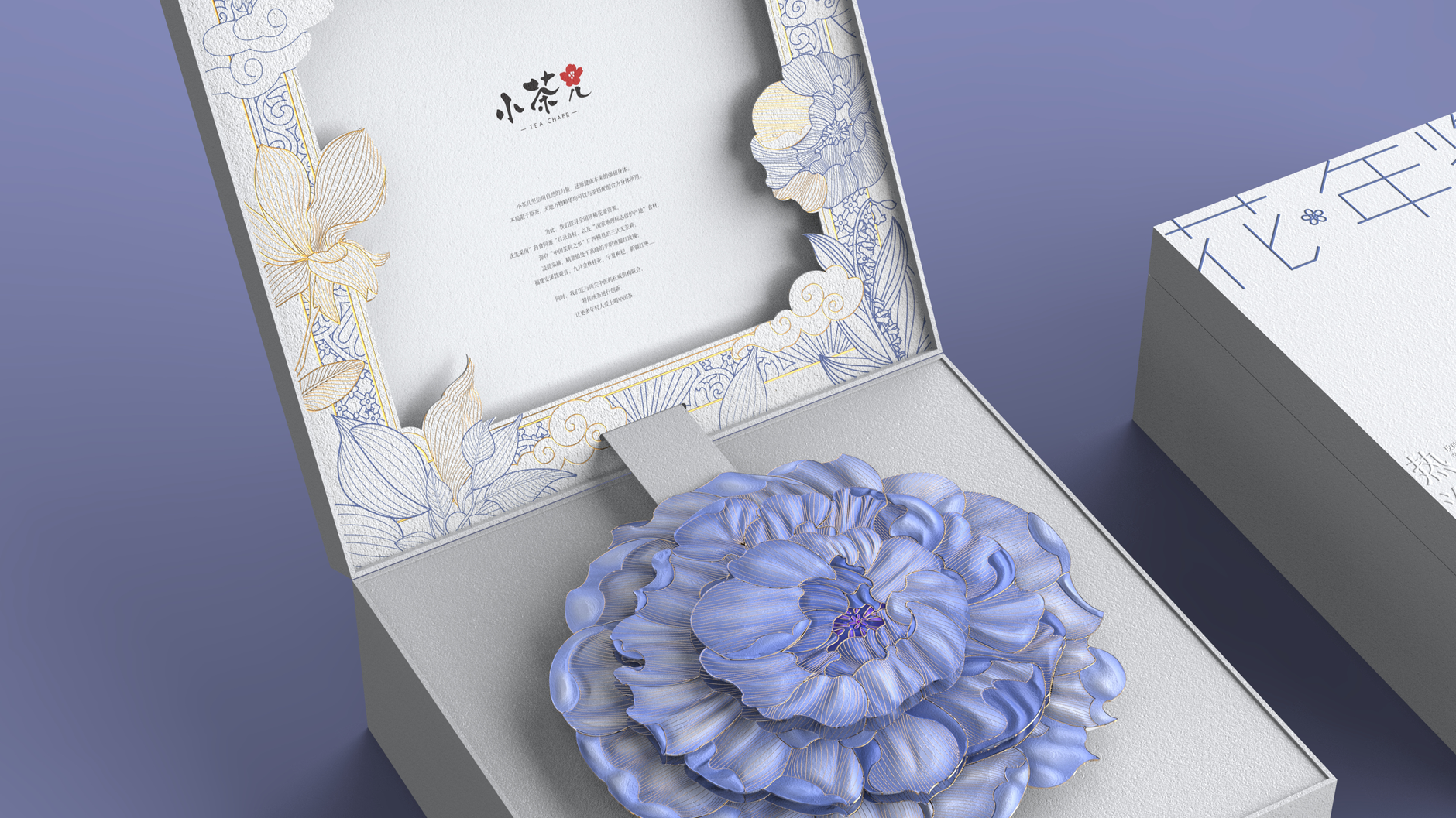 禮（lǐ）盒包裝設計（jì）色（sè）彩（cǎi）搭配是十分關鍵的一（yī）個階段