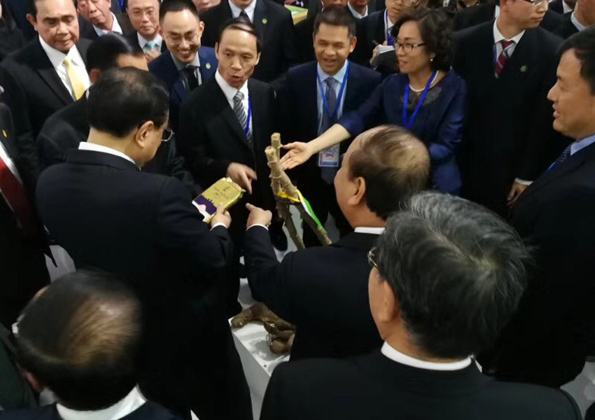 李克強總理親臨參觀國宏（hóng）集團展位