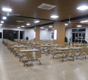 曲（qǔ）木（mù）餐桌椅H027